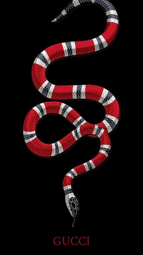 gucci symbol and snake|gucci snake logo background.